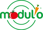 Modulo.webp